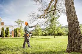 Best Lawn Maintenance Plans  in Gordonsville, TN
