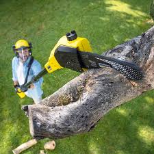 Best Lawn Irrigation Installation and Maintenance  in Gordonsville, TN