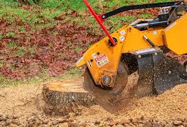 Best Tree and Shrub Care  in Gordonsville, TN
