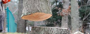 Best Tree Risk Assessment  in Gordonsville, TN