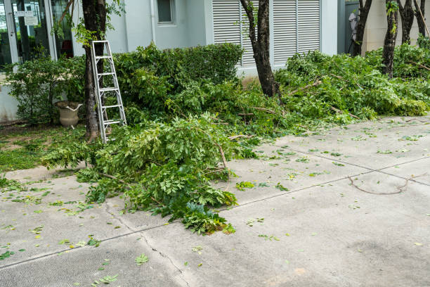Best Tree Mulching  in Gordonsville, TN